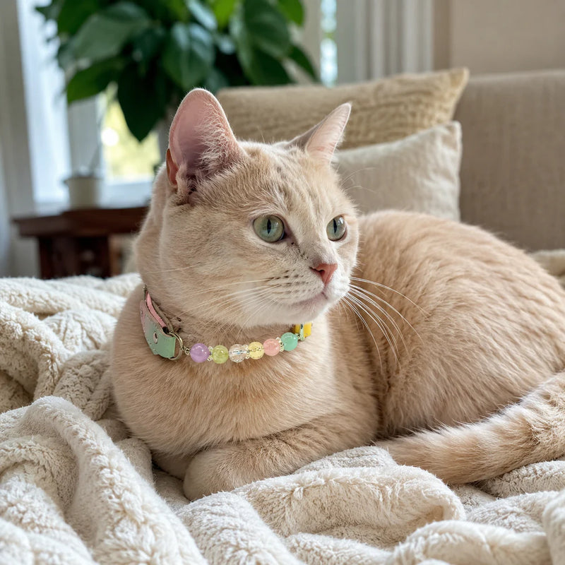 Spectrum Chakra Handmade Natural Crystal Pet Collar