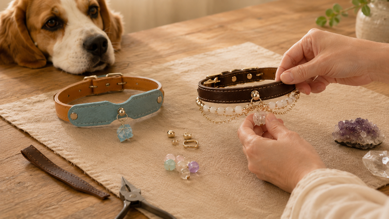 Pet Jewelry