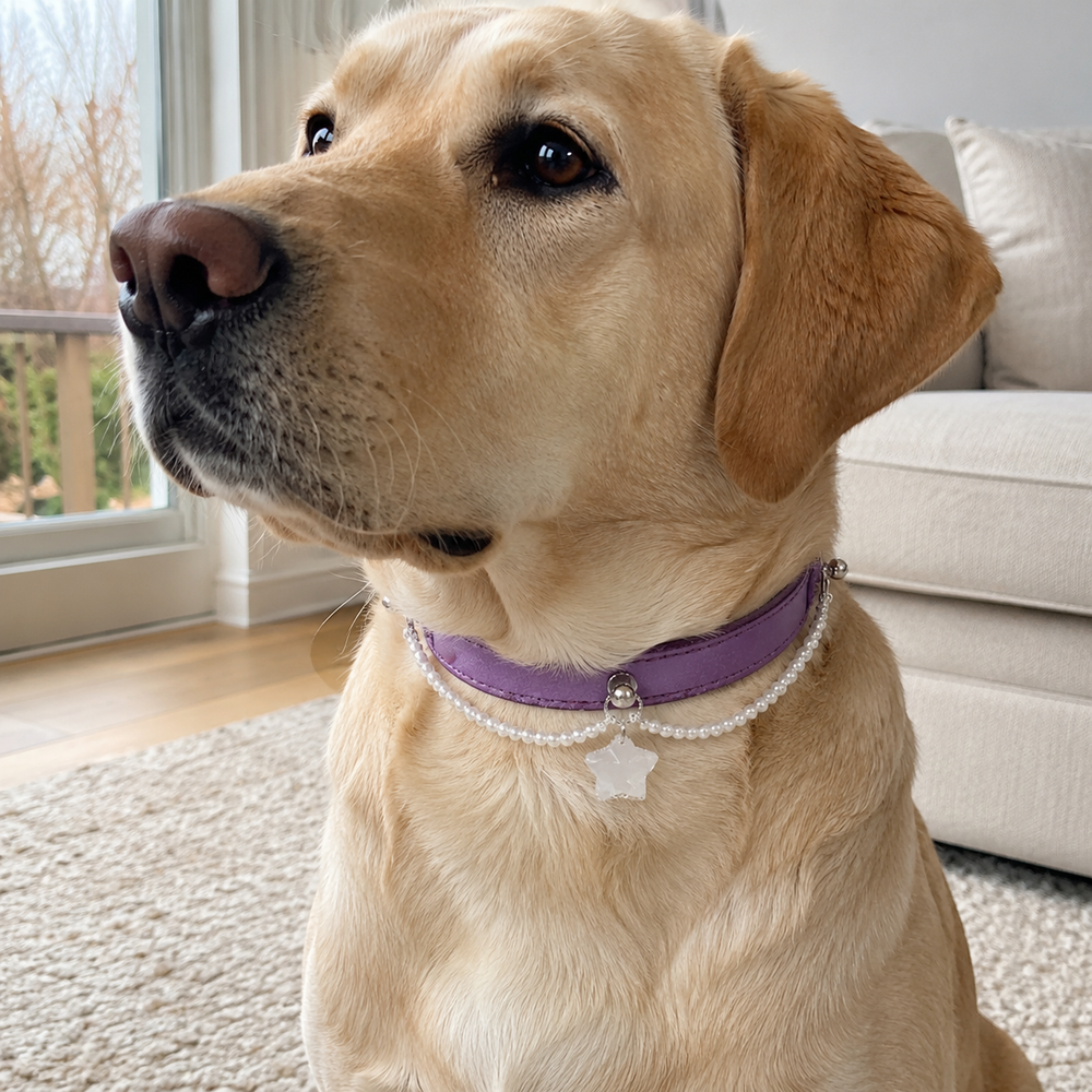 Starlit Promise Crystal Pet Collar with Pearl Chain