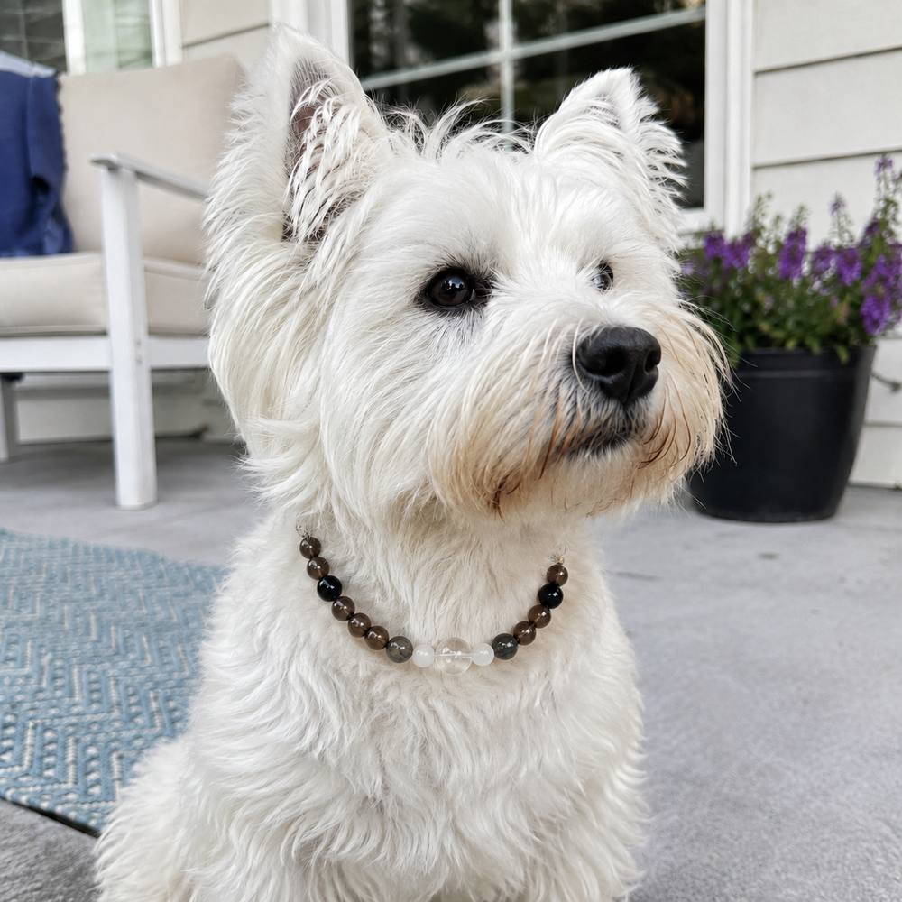 Natural Black Obsidian Crystal Pet Collar Necklace