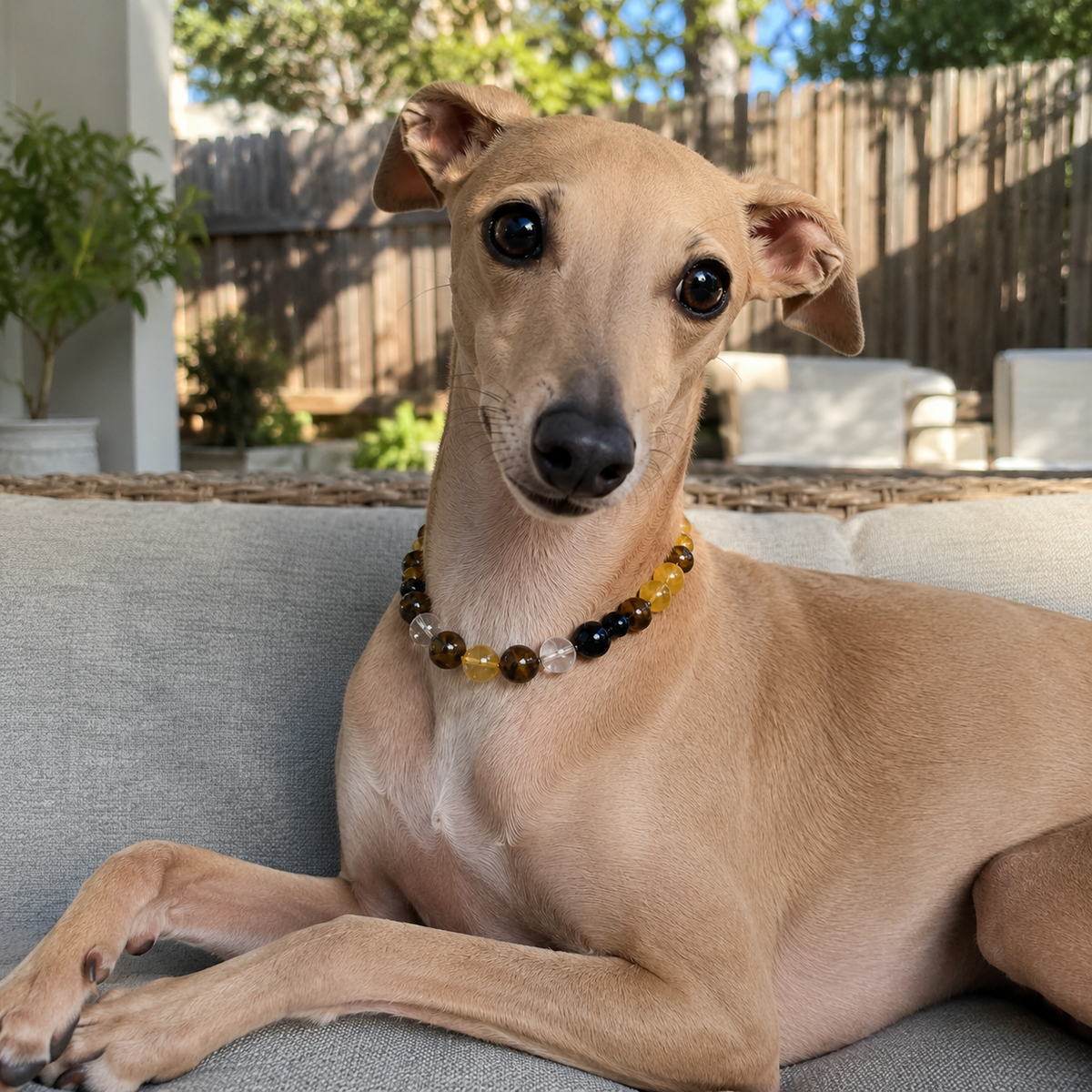 Natural Tiger Eye Crystal Pet Collar Necklace