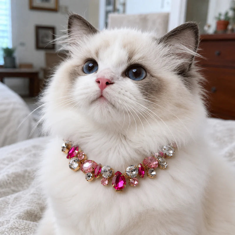 Luxury Rhinestone Pet Necklace – Elegant Pet Jewelry for Cats & Small Dogs