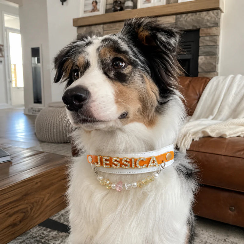 Personalized Rhinestone Name Pet Collar with Crystal & Pearl Charm