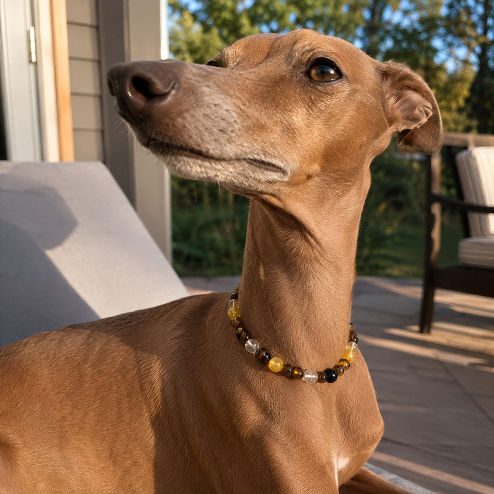 Natural Tiger Eye Crystal Pet Collar Necklace