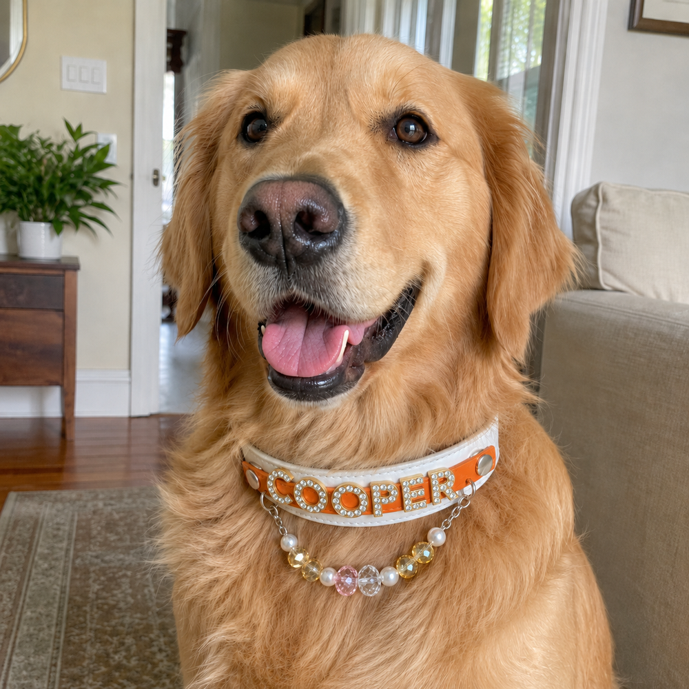 Personalized Rhinestone Name Pet Collar with Crystal & Pearl Charm