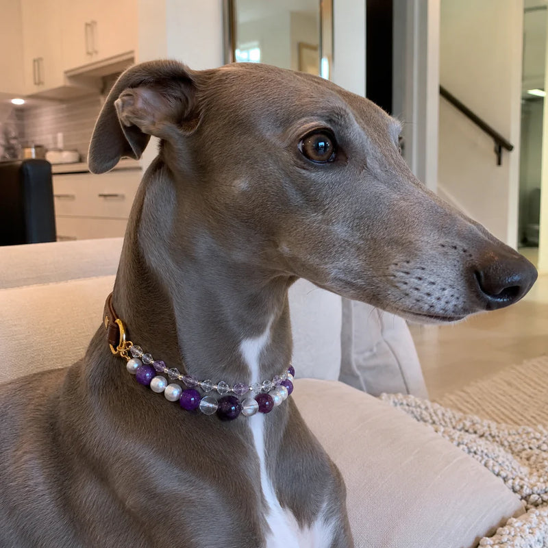 Natural Amethyst Crystal Pet Necklace