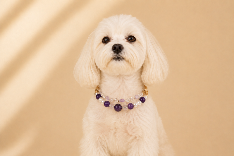 Crystal Pet Collars