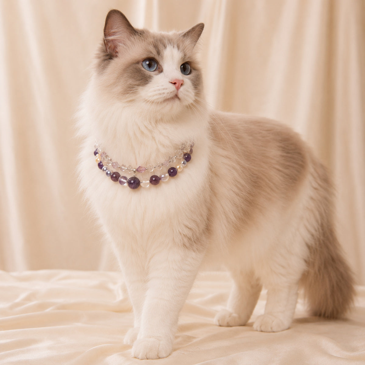 Natural Amethyst Crystal Pet Necklace