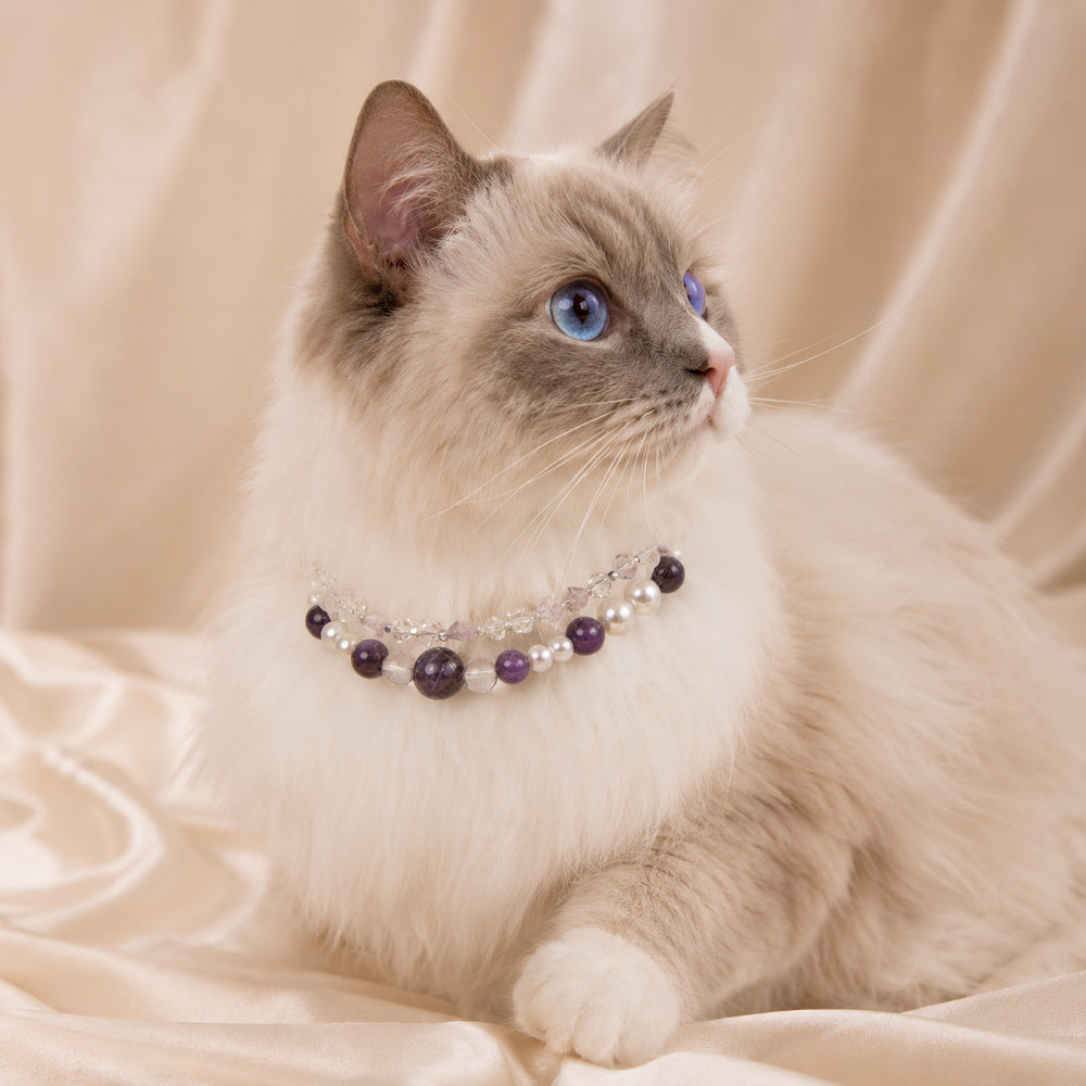 Natural Amethyst Crystal Pet Necklace