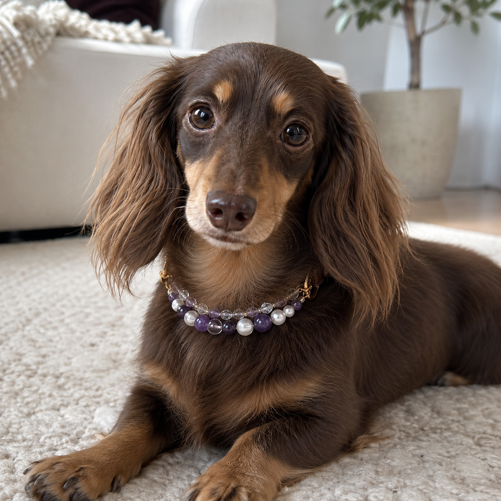 Natural Amethyst Crystal Pet Necklace - product image 5