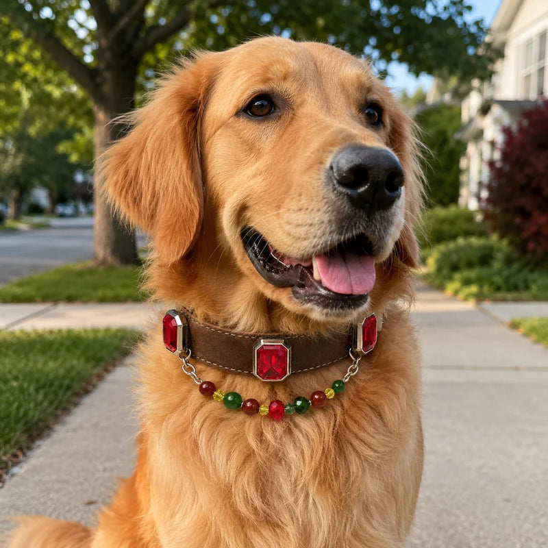 Spectrum Chakra Handmade Natural Crystal Pet Collar
