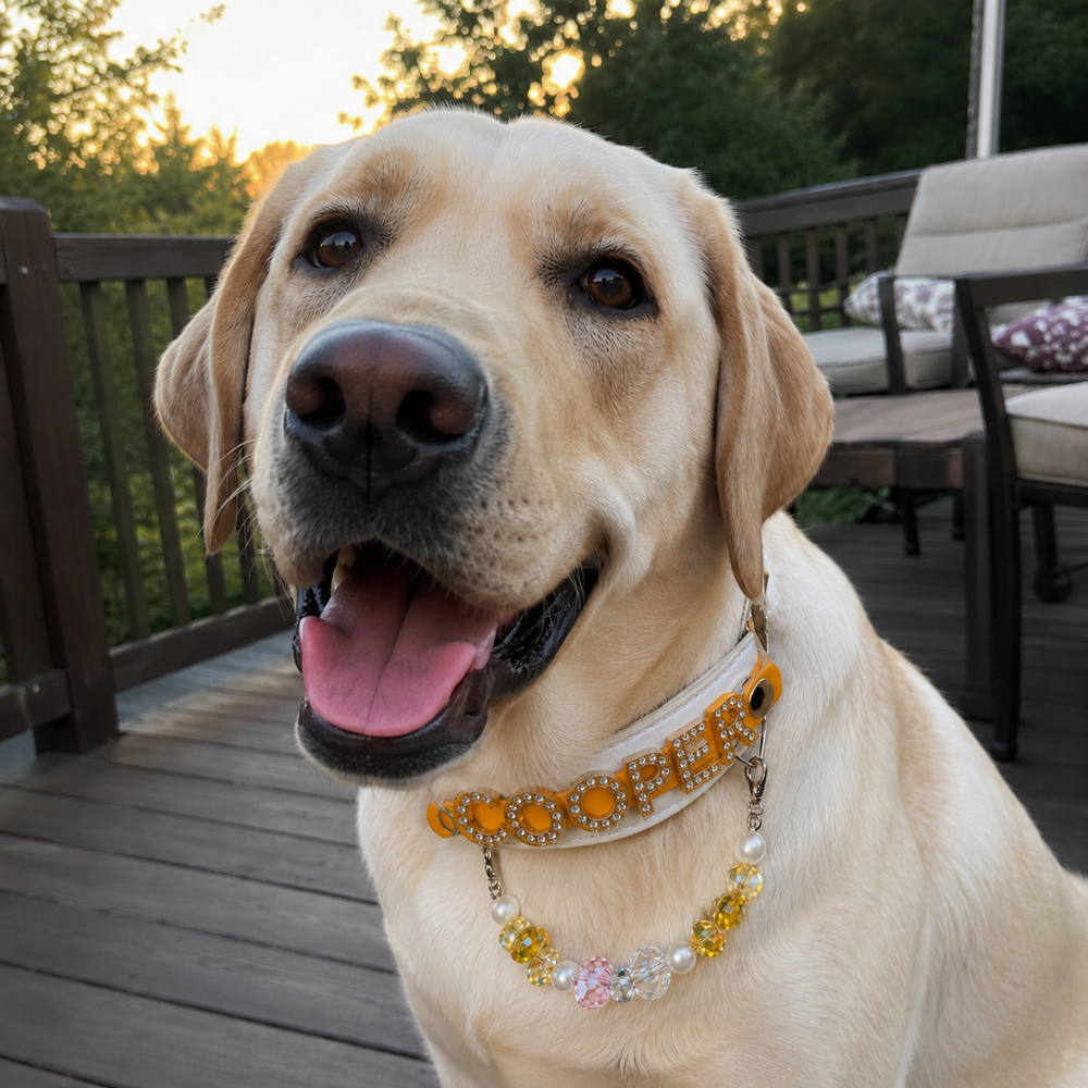 Personalized Rhinestone Name Pet Collar with Crystal & Pearl Charm